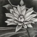Flower in Charcoal